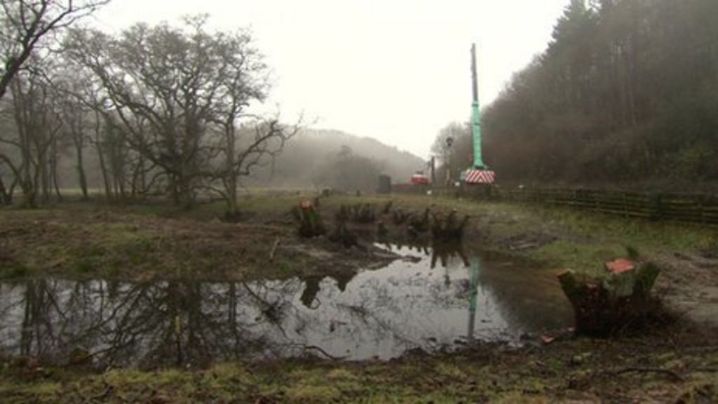Natural anti-flood scheme 'a success'