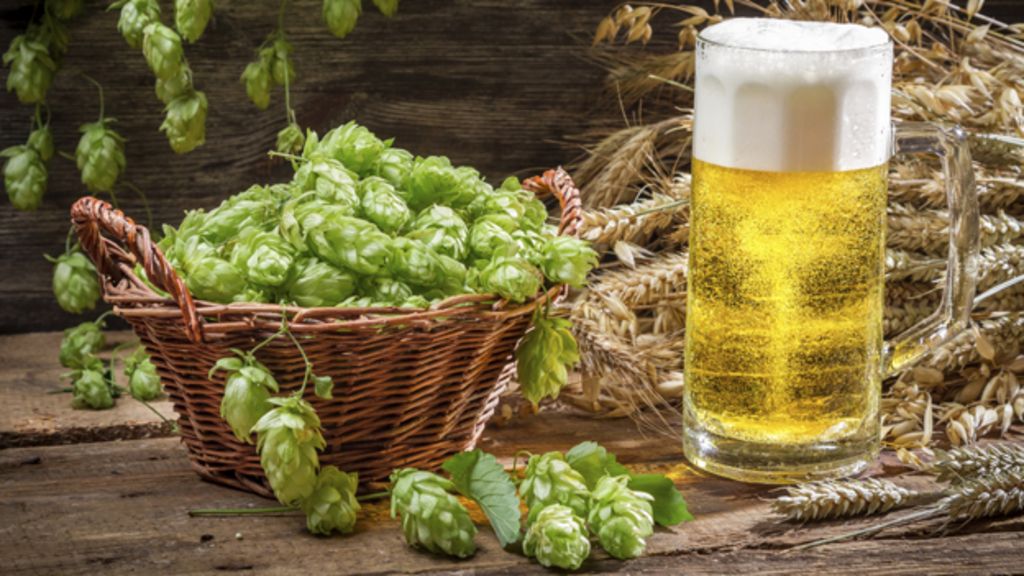 Who What Why Is The Craft Beer Craze Going To Cause A Hops Shortage 9342