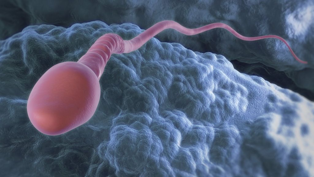 UK facing 'major' sperm shortage - BBC News