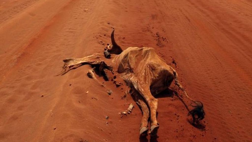 Climate fears for Africa's farmers