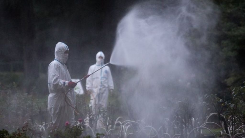 Japan tackles first dengue fever outbreak in 70 years BBC News