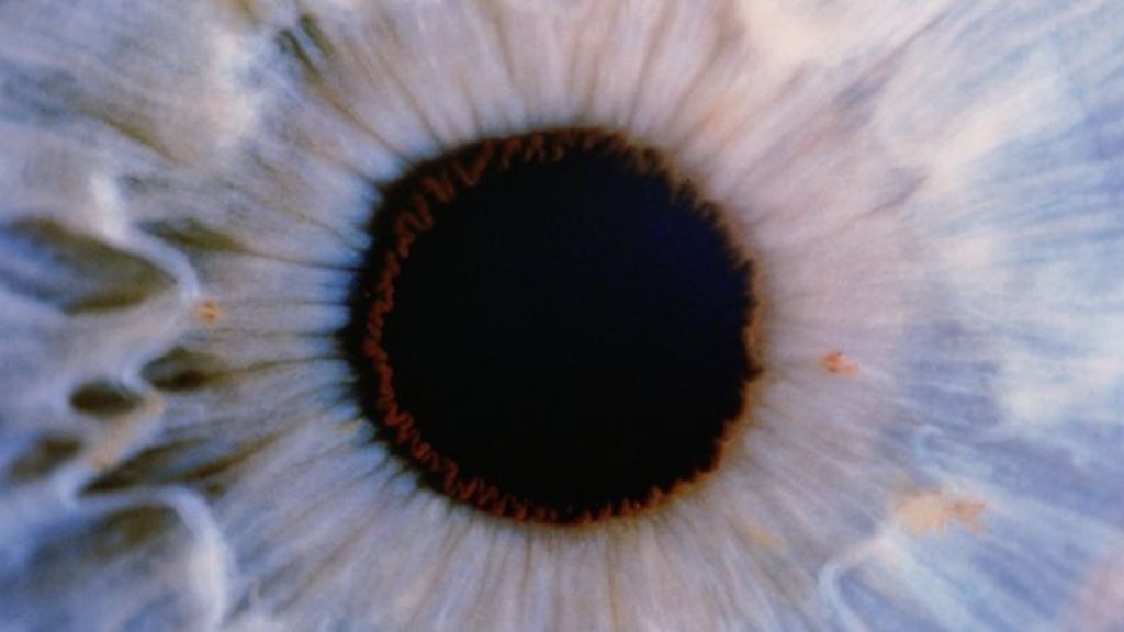 'Artificial retina' could detect subatomic particles BBC News