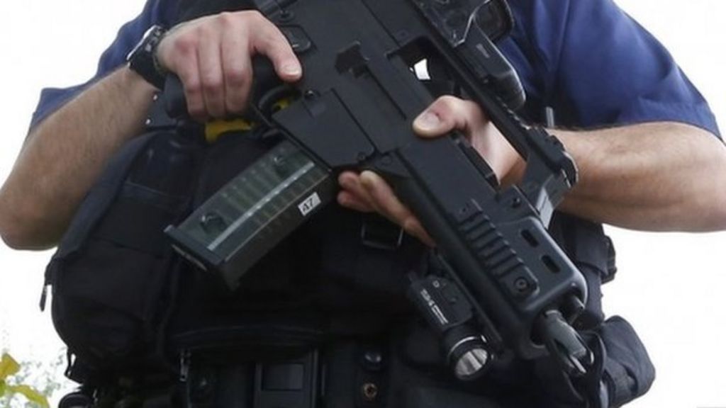 Police officer 'offered girl loaded gun'