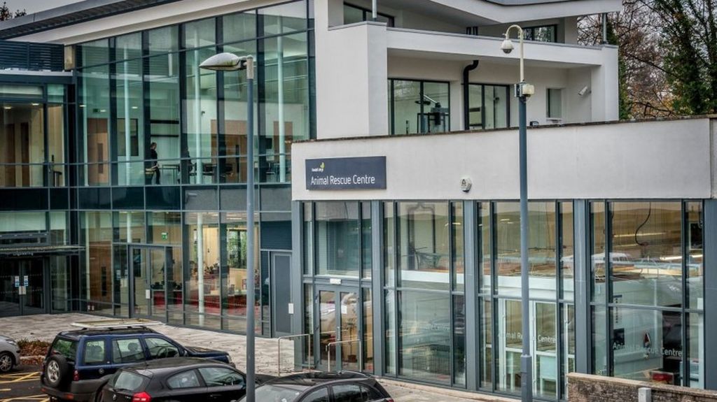Kendal College opens animal rescue centre BBC News