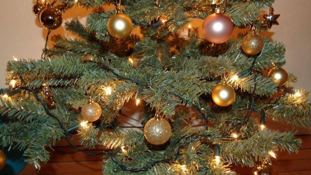 christmas tree bank in cambridgeshire to spread cheer christmas tree bank in cambridgeshire to spread cheer