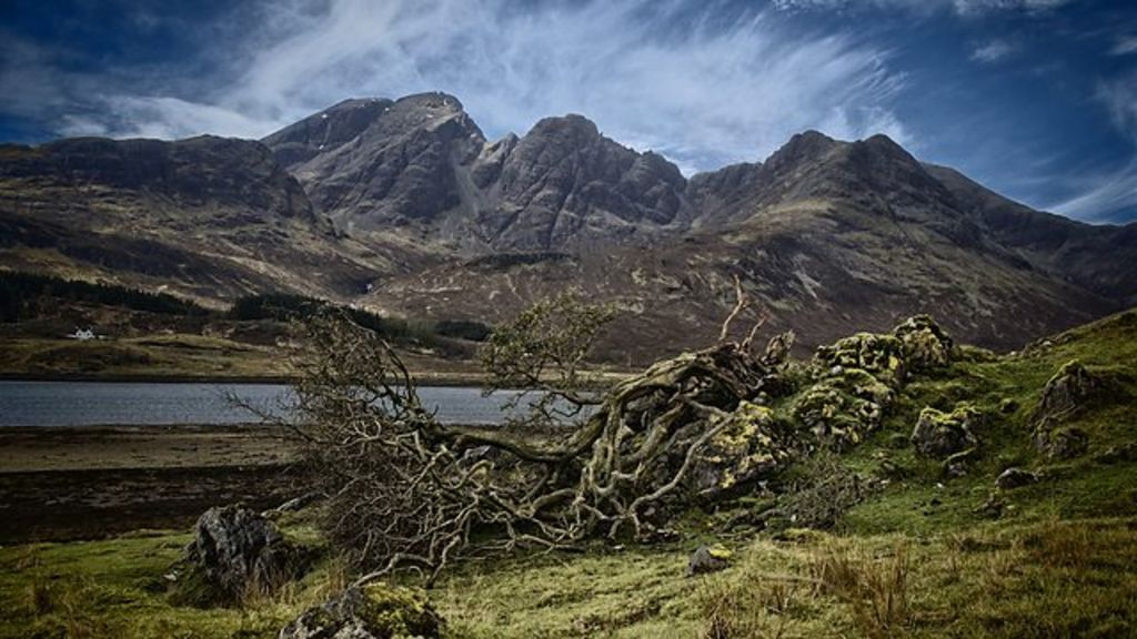 Plan to restrict Scottish land ownership BBC News