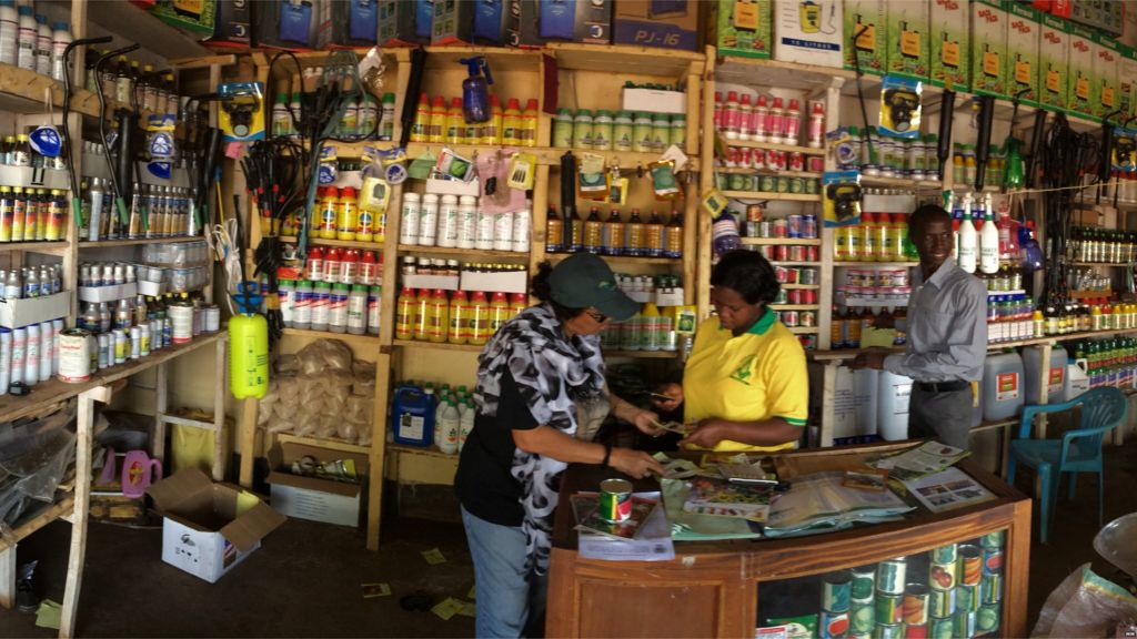 Lack of seeds limits African yields