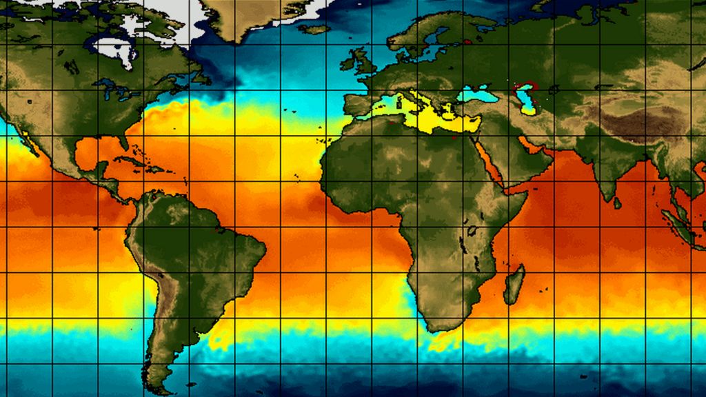 El Nino Could Disrupt Food Markets Bbc News 