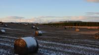 Winter field