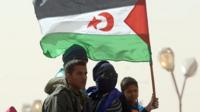 people holding sahrawi flag