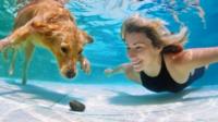 Dog and woman swimming