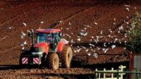 farming