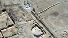Palmyra satellite image 10 January