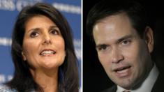 Nikki Haley (left) and Marco Rubio (right)