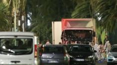 Officials examine the lorry that hit the crowds in Nice