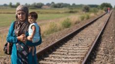 A migrant mother who has just crossed the border from Serbia into Hungary carries her child, 28 August