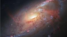 Messier 106 spiral galaxy