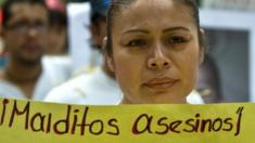 The mother of Andres Alonso, who died in a fire in a daycare centre in Hermosillo on 5 June 2009 protests during a demonstration in Mexico City on 4 July, 2009.