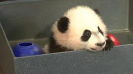 Bei Bei