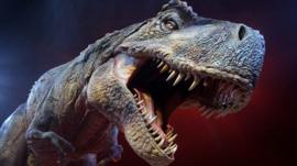 A Tyrannosaurs Rex robotic dinosaur in the Walking With Dinosaurs live tour