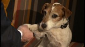 Uggie. A dog from the silent film The Artist