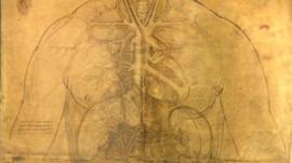 Leonardo illustration