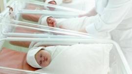 Cots lined up with babies