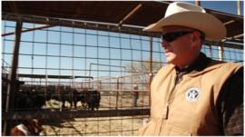 A Texas ranger checking cattle