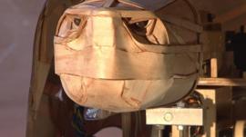 Tortoise robot
