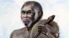Was this a homo erectus that shrank?