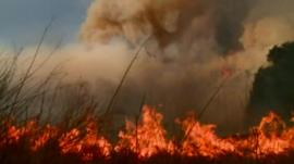 Wildfires in Santa Barbara County