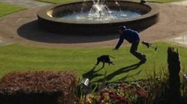 Zoo keeper chases monkey