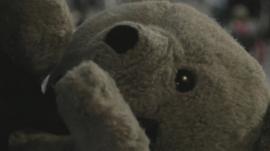 Teddy the Guardian