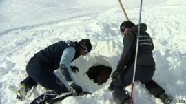Alpine rescuers in avalanche training on the Franco-Italian border