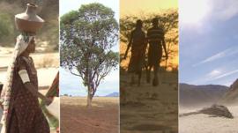 Four different images of drought