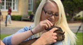 Bath Spa University student stroking a goat