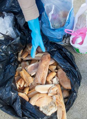 Person sorts through discarded bread, France