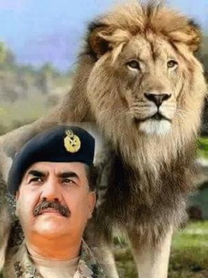 Gen Sharif seen in meme with lion
