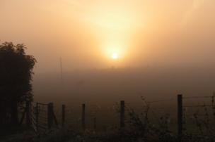 The sun shines through a misty sky in front of a field