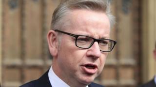 Michael Gove