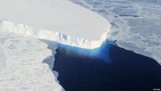 The Thwaites Glacier in Antarctica