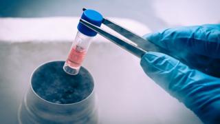 A gloved handholding a tube for cryogenic preservation