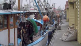 Fishing boats in the harbour at Freest on Germany