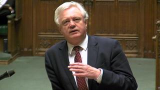 David Davis in the House of Commons