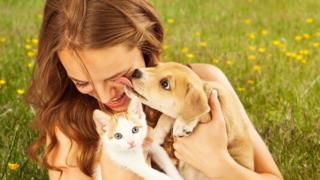_92169543_thinkstockphotos-492735396.jpg