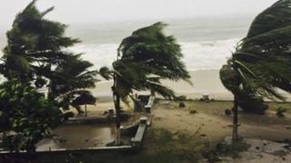 Trees being blown in cyclone