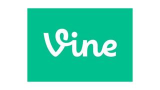 Vine logo