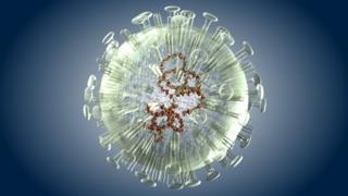 'First flu' affects lifetime risk