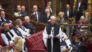 Archbishop speaks in the House of Lords