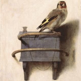 Where Is The Goldfinch Painting Displayed Where Is The Goldfinch Painting Displayed